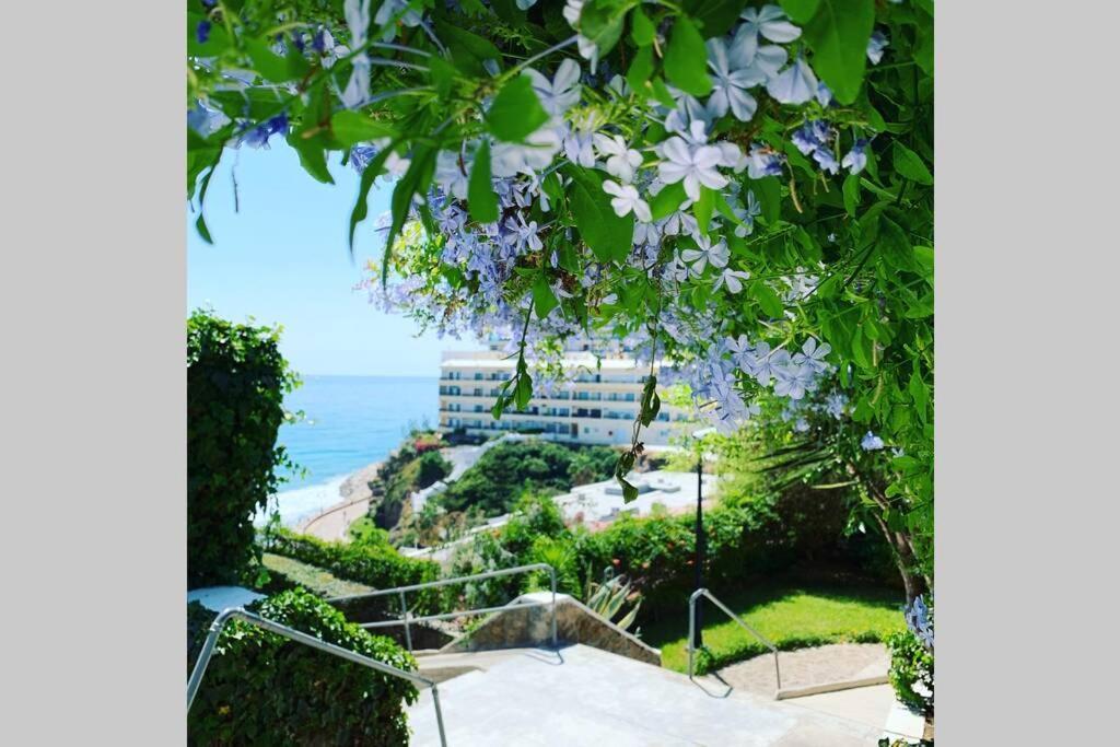 Amazing Frontline Sea Views Studio Apartment Castillo Del Vigia Τορρεμολίνος Εξωτερικό φωτογραφία