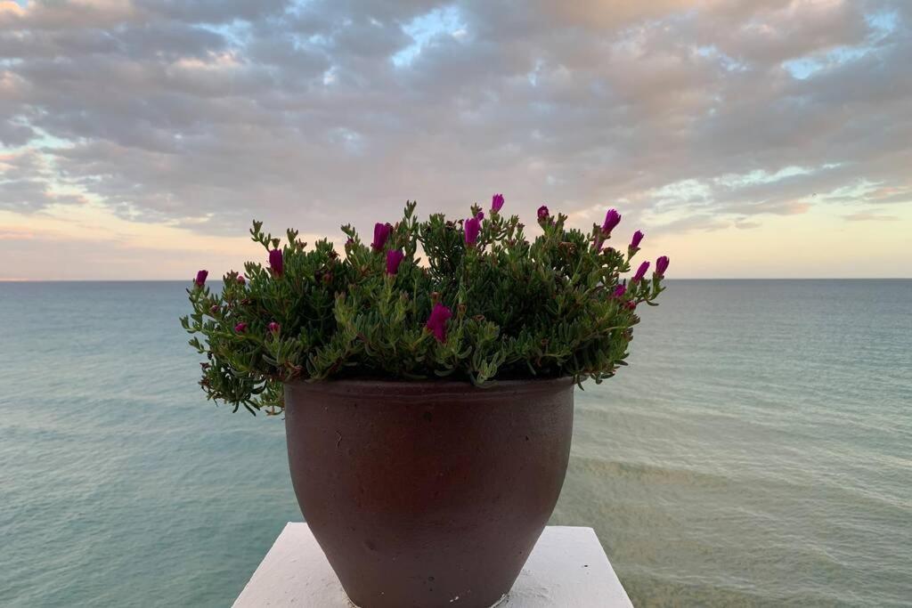Amazing Frontline Sea Views Studio Apartment Castillo Del Vigia Τορρεμολίνος Εξωτερικό φωτογραφία