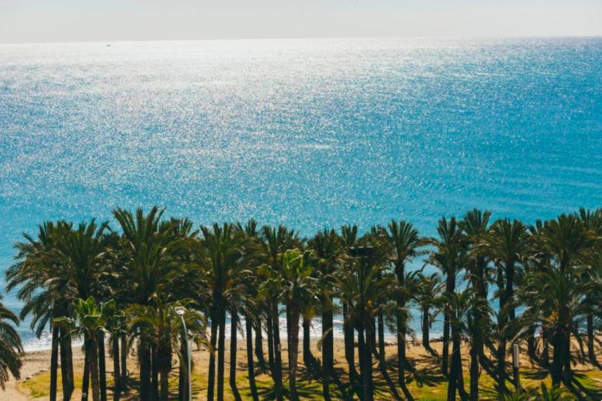 Amazing Frontline Sea Views Studio Apartment Castillo Del Vigia Τορρεμολίνος Εξωτερικό φωτογραφία
